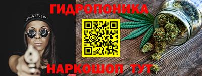 молекула духа Краснознаменск