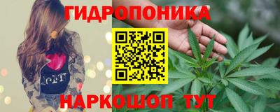 молекула духа Краснознаменск